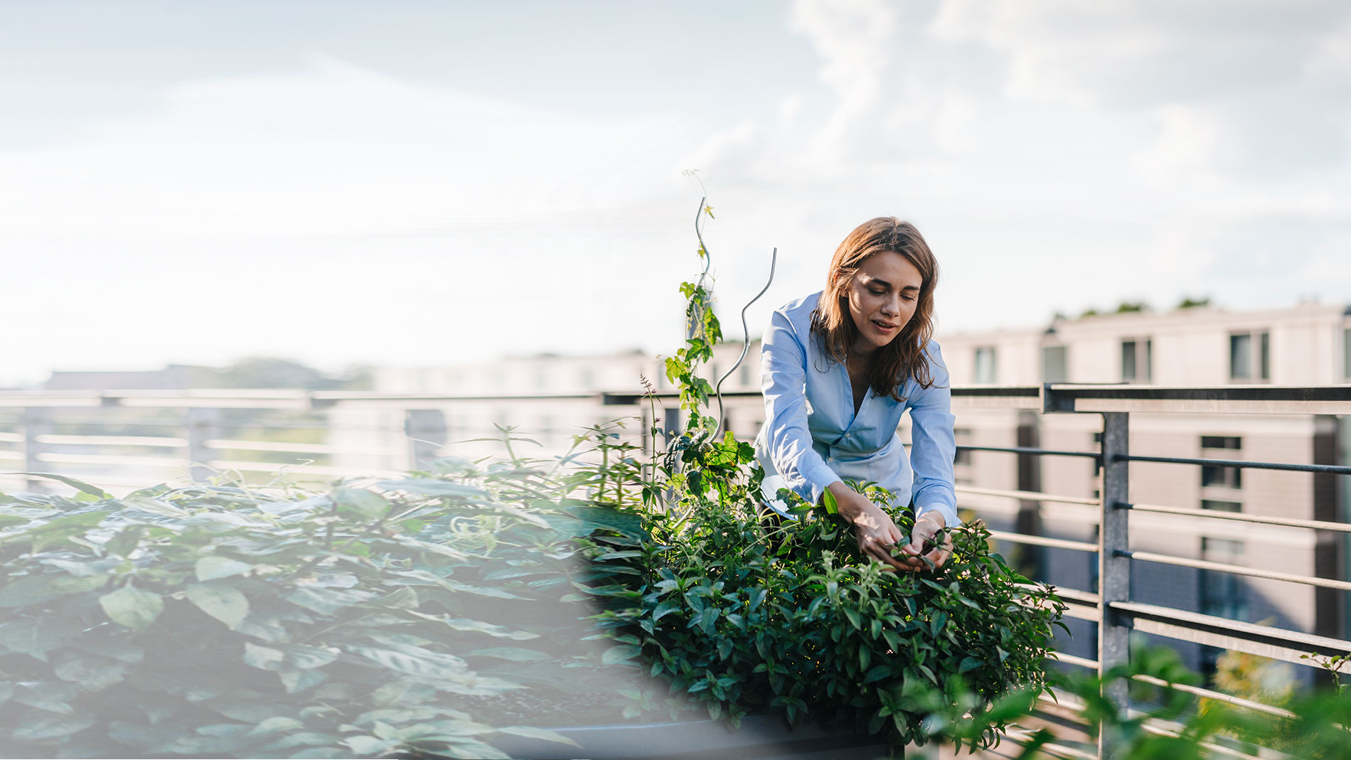 Woman alone gardening on her rootop terrace.