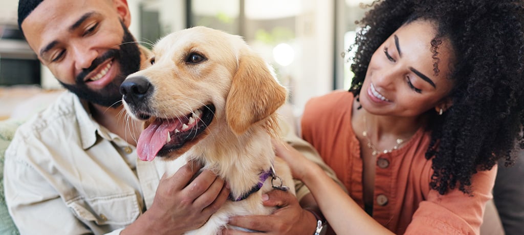 Two people sit together on a couch, gently holding and petting a dog in a bright living room.