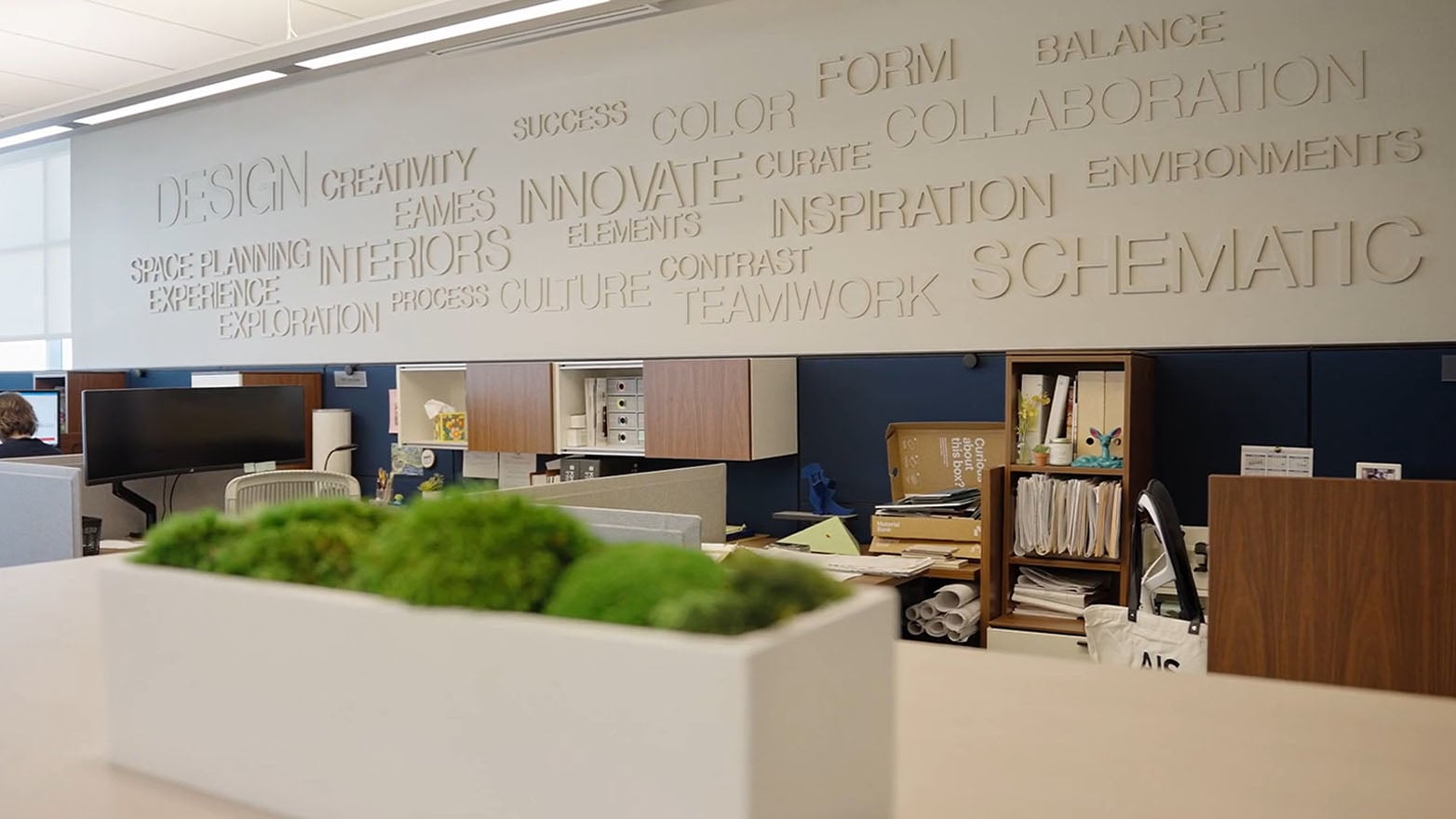 Modern open-concept office workspace with cubicles, shelving and a planter in the foreground.