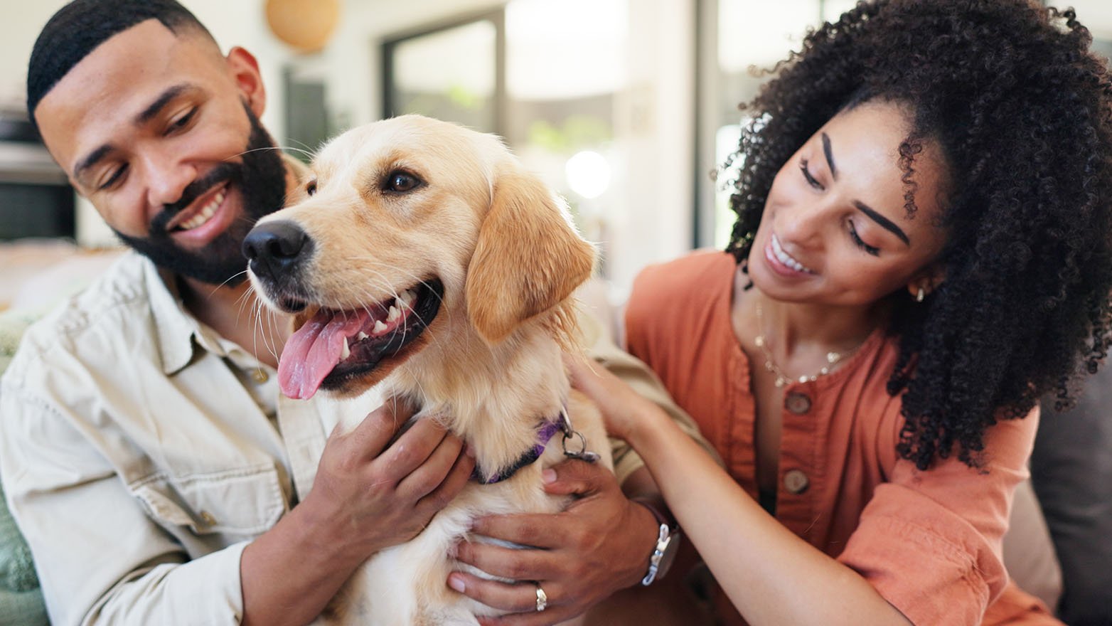 Two people sit together on a couch, gently holding and petting a dog in a bright living room.