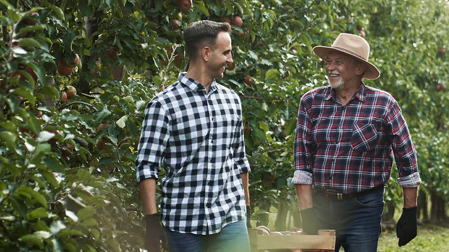 Two farmers, one older and wearing a hat, stand in a lush apple orchard, surrounded by trees, with a crate of freshly picked apples at their feet.