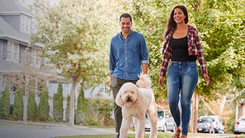 Hispanic couple walking their dog in their neighborhood