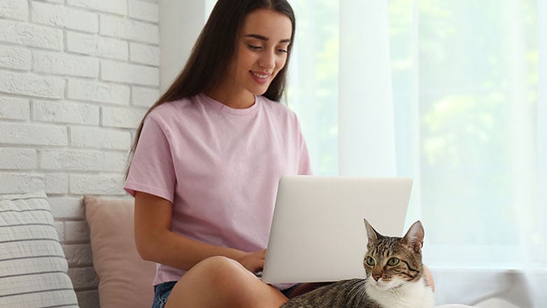 Young woman pays her bills online while relaxing on her bed with her pet cat.