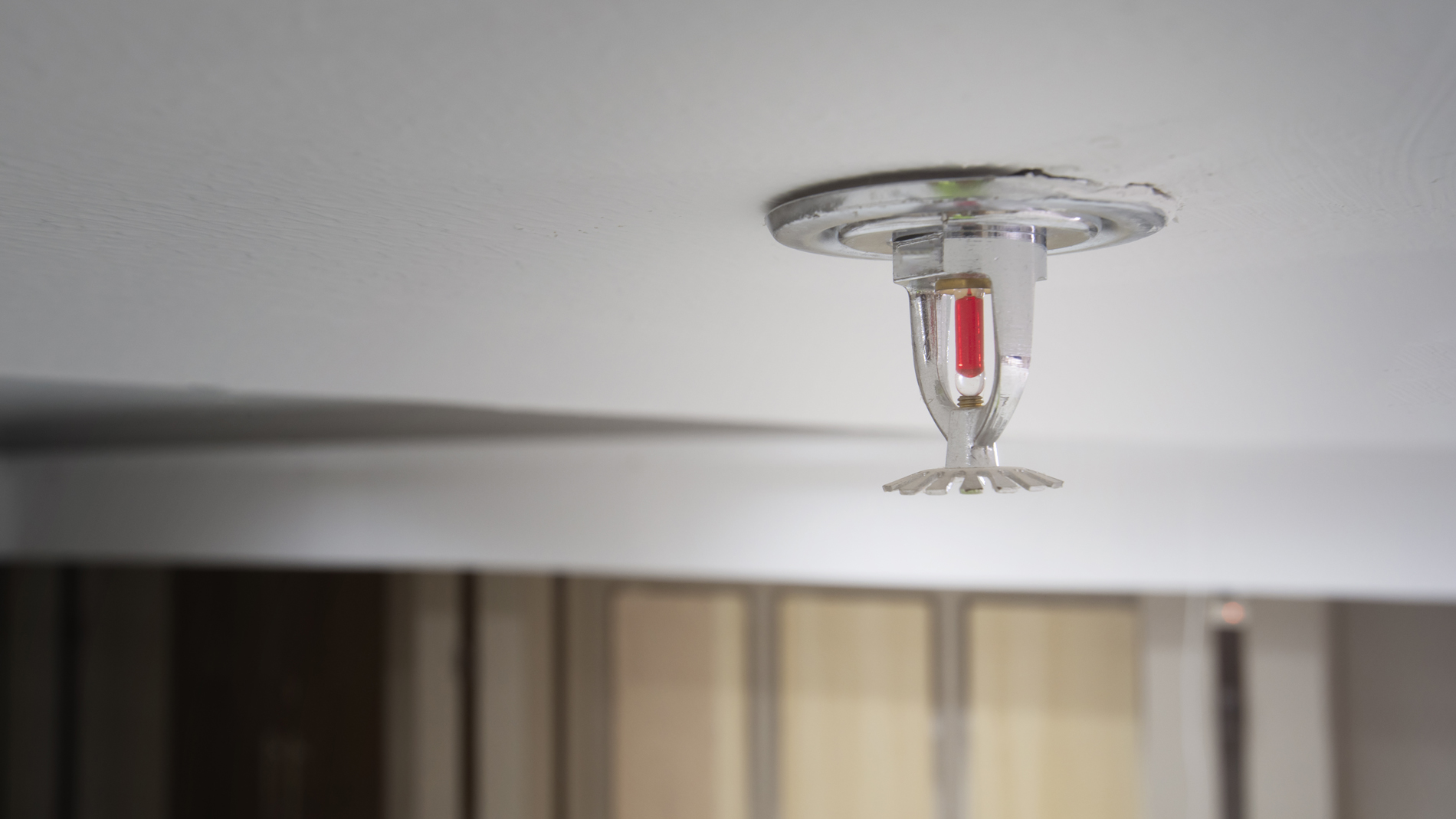 Finance Sprinkler System