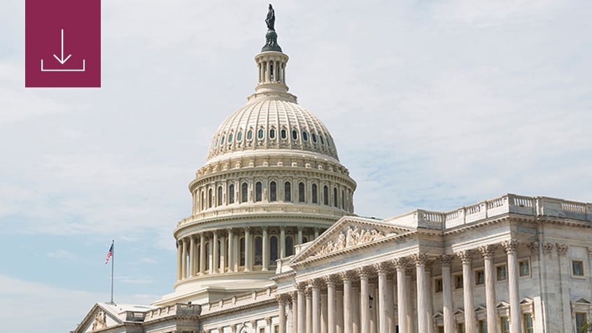 capitol building download icon