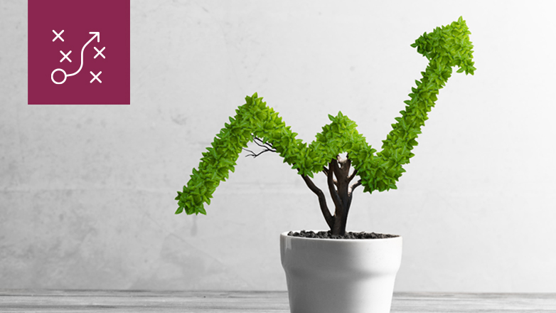plant arrow growth