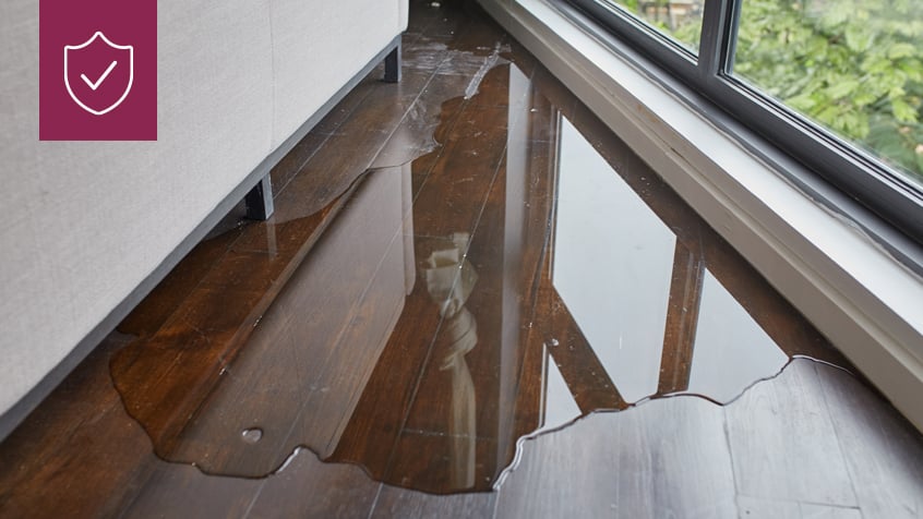 water seeping window