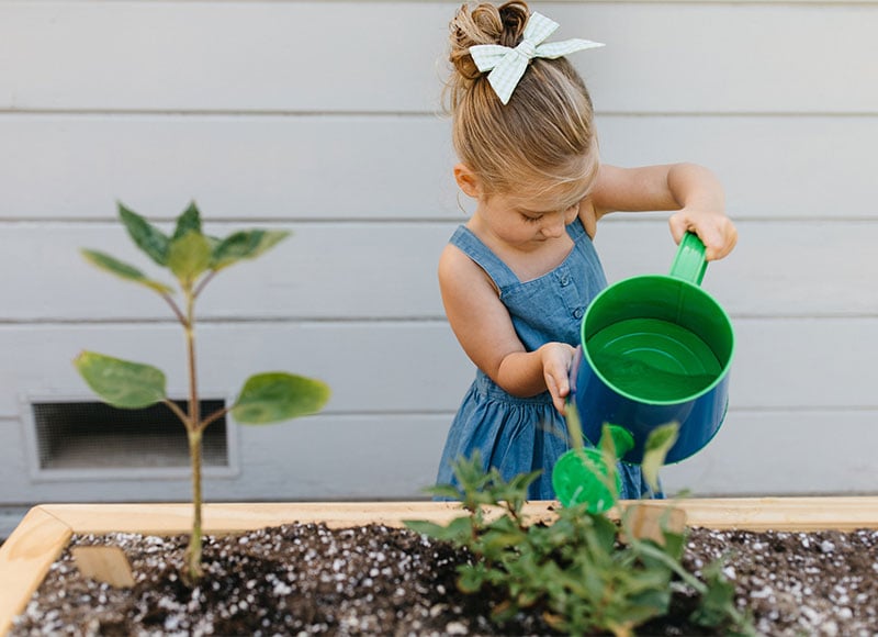 Young girl waters her garden with a watering can.