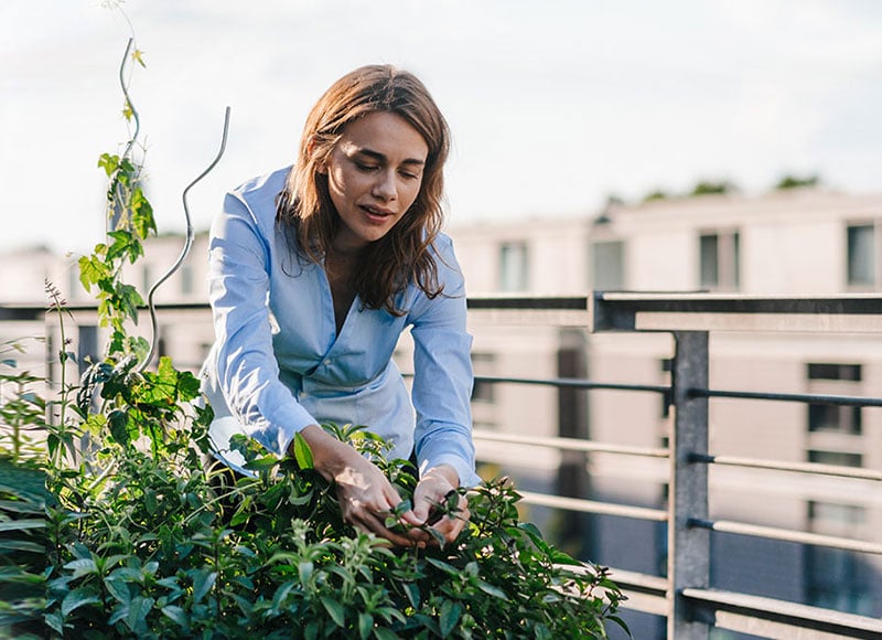 Woman working on her rooftop garden outside.