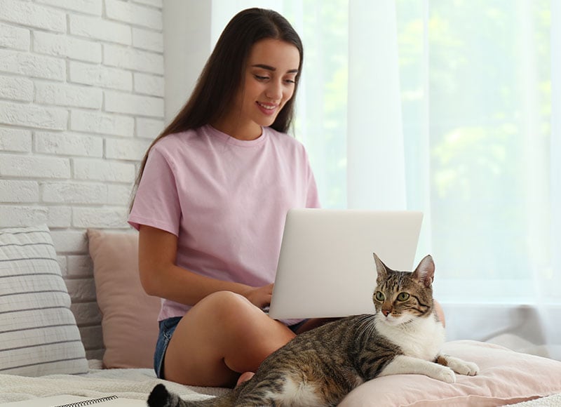 Young woman pays her bills online while relaxing on her bed with her pet cat.